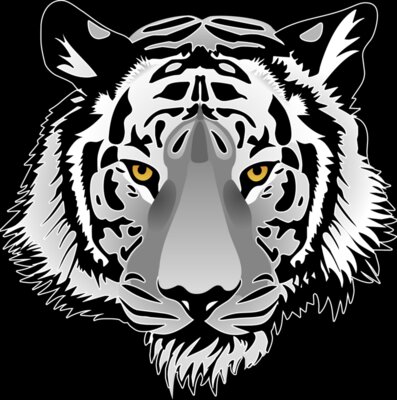 White tiger head